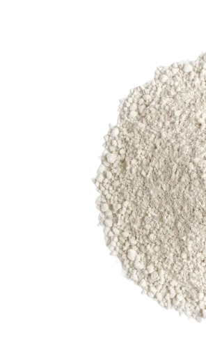 Green tea extract powder